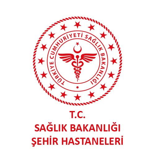 Şehir Hastaneleri